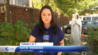 TONIGHT AT 7: Statues at Queens Parish Vandalized Twice in One Week
