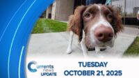Catholic News Headlines for Tuesday 10/21/2025  