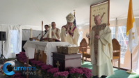 Nearly 2,000 Faithful Gather at Diocese of Brooklyn Cemeteries for All Souls’ Day Masses