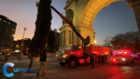 Diocese of Brooklyn Raises 25-Foot Christmas Tree at Grand Army Plaza