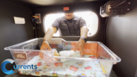 Safe Haven Baby Box Saves Newborn in Lubbock, Texas