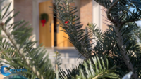 Catholics Urged to Keep Their Christmas Displays Up Longer for Liturgical Reasons