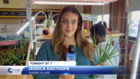 TONIGHT AT 7: Catholic School Students Grow Beyond the Seasons in Hydroponics Lab