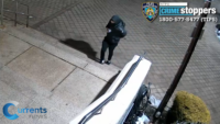 Police Search for Suspect After Queens Church Vandalized and Man Stabbed