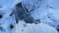 Statue of Mary Vandalized at Queens Church for Second Time in Recent Months