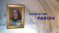 Pulse of the Parish: St. Athanasius