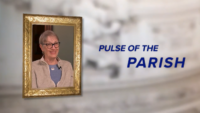 Pulse of the Parish: St. Andrew the Apostle