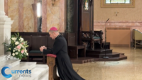 Diocese of Brooklyn Answers Pope Leo’s Call to Pray for Peace Ahead of Pro Vita Mass