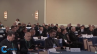 Child Protection, Sainthood Causes, World Youth Day on U.S. Bishops’ Spring Meeting Agenda