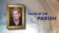 Pulse of the Parish: Our Lady of the Miraculous Medal