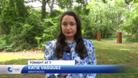 TONIGHT AT 7: Grant Helps Sisters of St. Joseph ‘Bee’ the Change for Long Island’s Native Pollinators