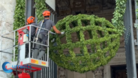 Why Is There a Fishing Net on the Door of Saint Peter’s Basilica?