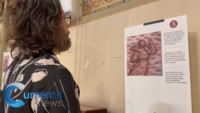 Williamsburg Parish Unveils Interactive St. Francis Prayer Journey